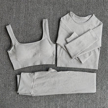 Load image into Gallery viewer, Ribbed Seamless 3 Piece Gym Set
