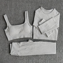 Load image into Gallery viewer, Ribbed Seamless 3 Piece Gym Set